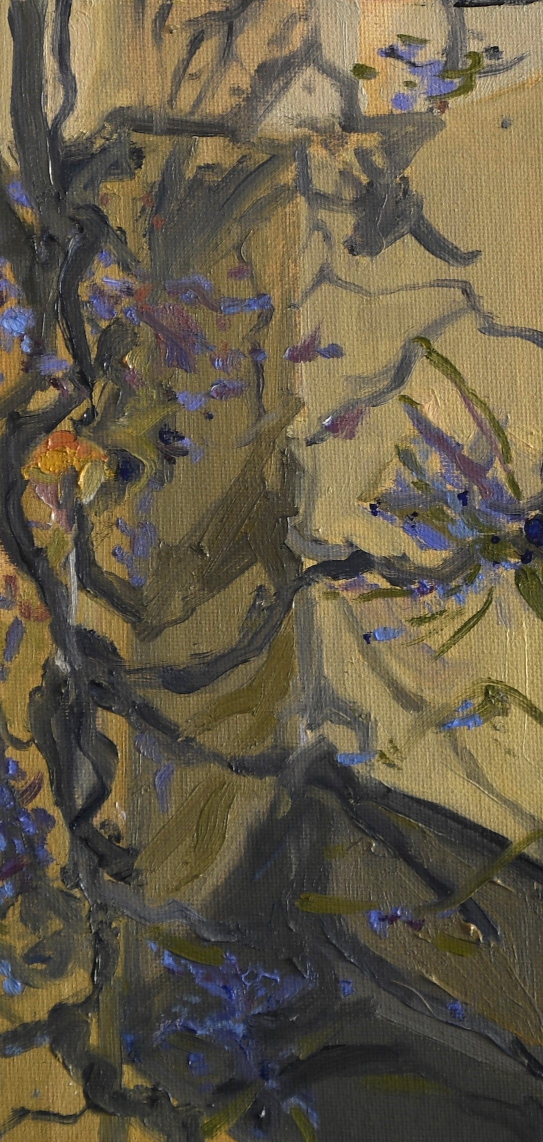 Magdalen Wisteria
