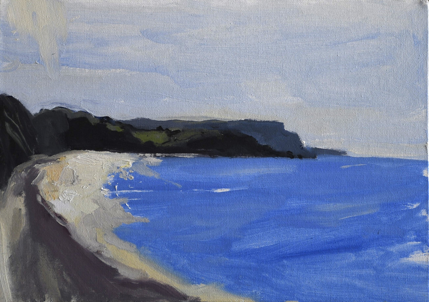 Devon Cliffs