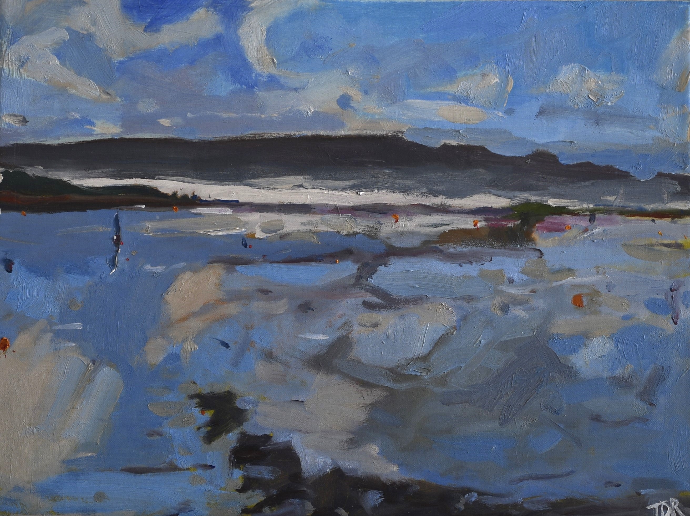 Commission a painting – Tom De Ritter Art