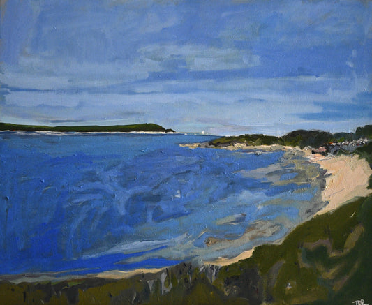 A Cornish Summer